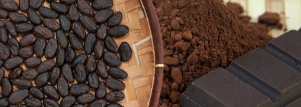 Cocoa Powder Alkalized (22/24 & 10/12) 1 kgs Bags (Sold per MT) - Image 3