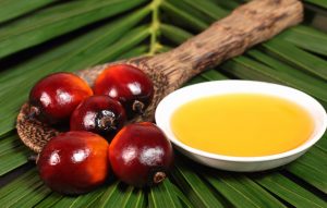 Palm Oil - Image 2