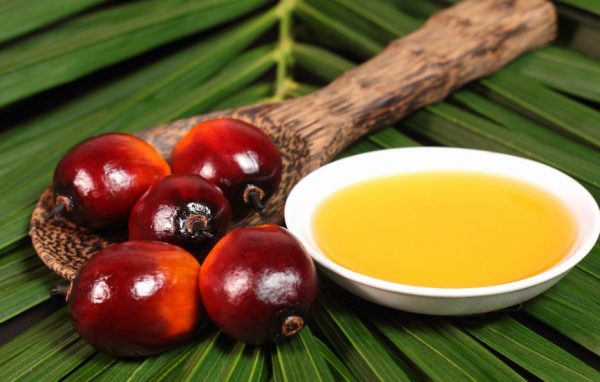 Palm Oil - Image 2