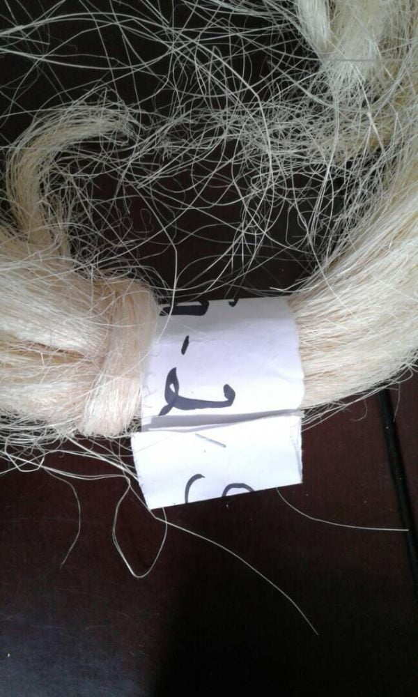 Sisal Fiber (per MT) - Image 6