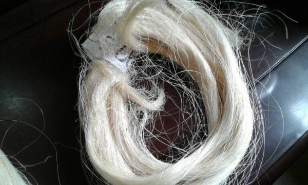 Sisal Fiber (per MT) - Image 5