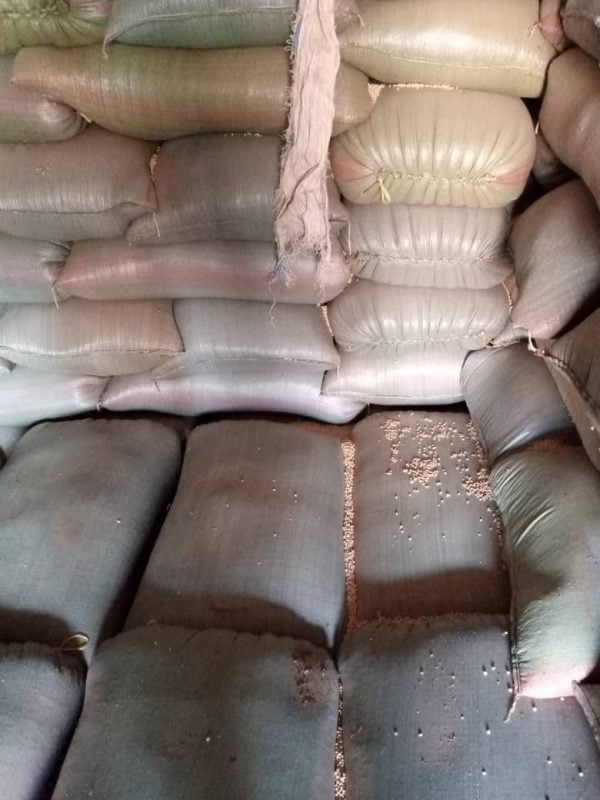 Soybeans grade 2 GMO per MT - Image 12