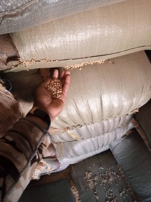 Soybeans grade 2 GMO per MT - Image 11