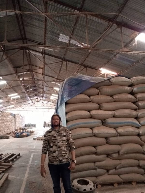 Soybeans grade 2 GMO per MT - Image 9