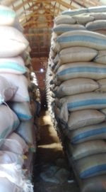 Soybeans Non-GMO  per MT - Image 18