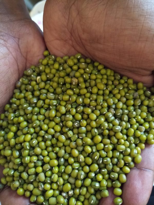 Go Africa® Green Mung Beans, 50kg Bags (Sold per MT) - Image 3