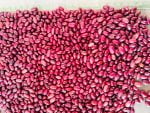 Kidney Beans Per MT - Image 2