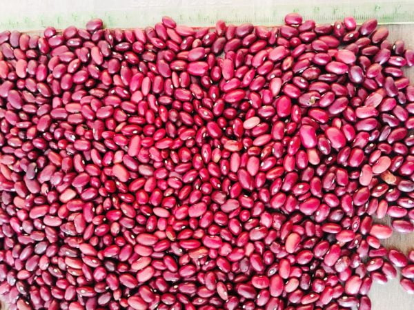 Kidney Beans Per MT - Image 2