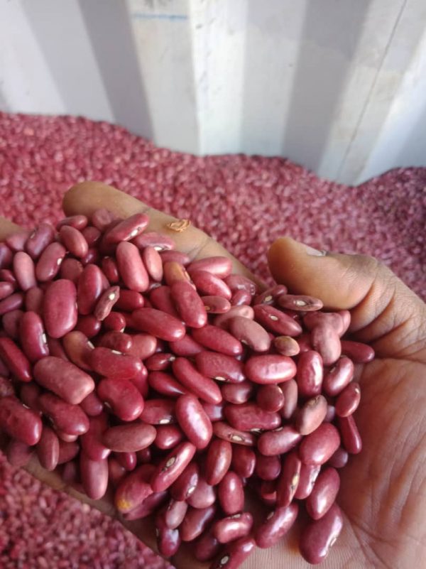 Kidney Beans Per MT - Image 3