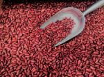 Kidney Beans Per MT - Image 4