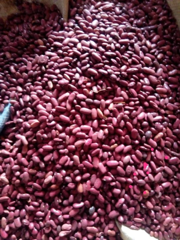 Kidney Beans Per MT - Image 5