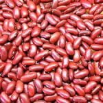 Kidney Beans Per MT