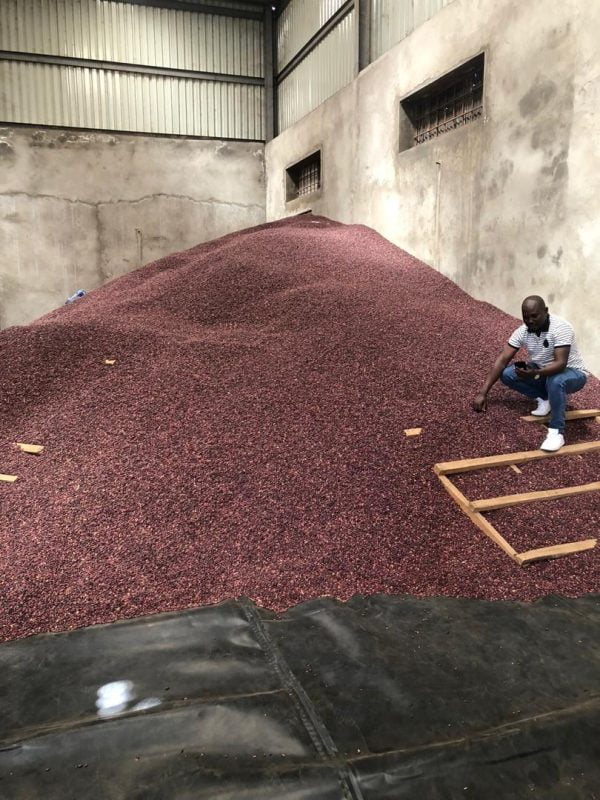 Kidney Beans Per MT - Image 10