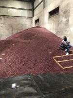 Kidney Beans Per MT - Image 9