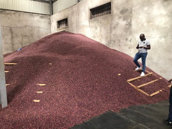 Kidney Beans Per MT - Image 8