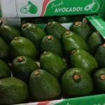 Avocados per MT (Kenya) - Image 2