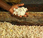 Natural Cocoa Butter 25kg (Sold Per MT) - Image 3