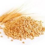 Soft milling wheat: Sold  Per MT