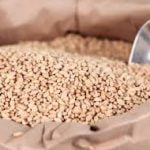 Go Africa® Wheat Flour, 25 Kgs Bags (Sold Per MT) - Image 6