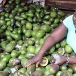 Avocados per MT (Kenya) - Image 6