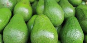 Avocados per MT (Kenya) - Image 7