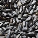 Sunflower oil per MT - Image 5