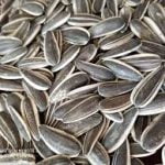 Sunflower oil per MT - Image 6