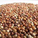 Go Africa® Red Sorghum 50kgs Bags (Sold per Per MT) - Image 4