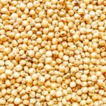 Go Africa® Red Sorghum 50kgs Bags (Sold per Per MT) - Image 5