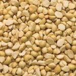Macadamia Oil: Per MT - Image 3
