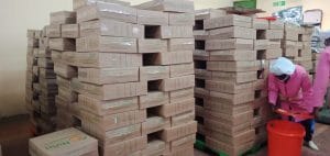 Go Africa® Raw Macadamia Nuts (Vacuum sealed foiled) 11.34kg / 25lbs (Sold Per MT) - Image 3