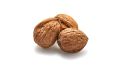 Go Africa® Jumbo Chandler In-Shell Walnuts (Sold per MT) - Image 3