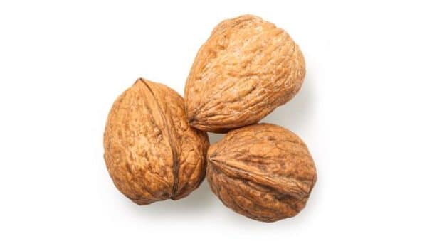 Go Africa® Jumbo Chandler In-Shell Walnuts (Sold per MT) - Image 2