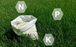 Go Africa® NPK Fertilizer  50kg bags (Multiple formulations) - Image 9