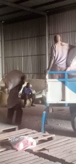 Rice Milling Services - Image 2