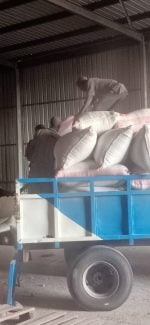 Rice Milling Services - Image 9