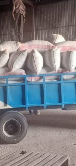 Rice Milling Services - Image 7