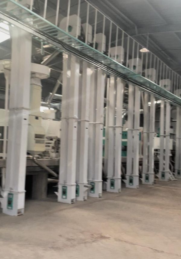 Rice Milling Services - Image 10